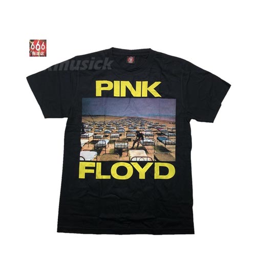 PINK FLOYD - A Momentary (TS-S)TTH2103